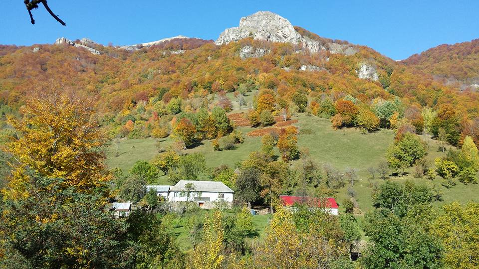  Cătunul Prisăcina - Alexandru Teleagă