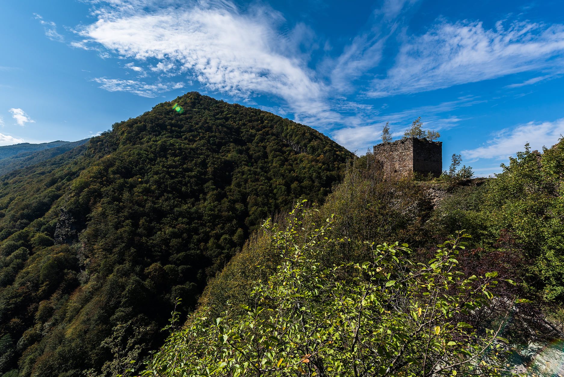  Cetatea Colț - Morar Daniel
