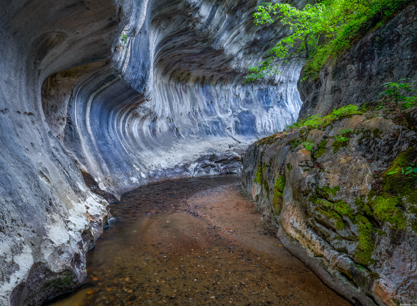 Cheile Baniței - Moldovan Dan