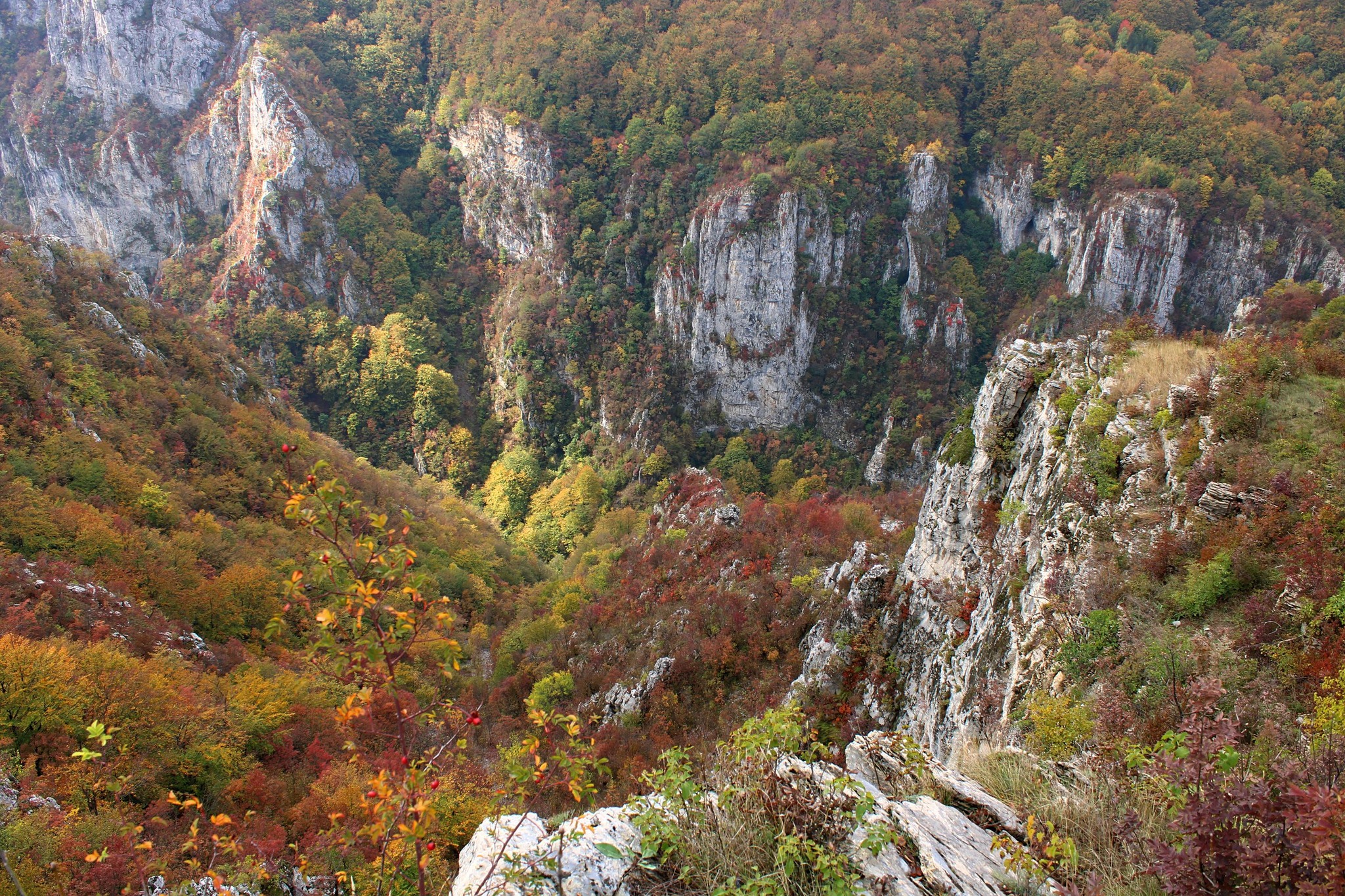  Cheile Prisăcinei - Sima Constantin