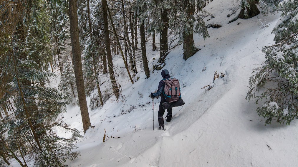  Coborarea din creasta Nemirei - Andrei Pahomi