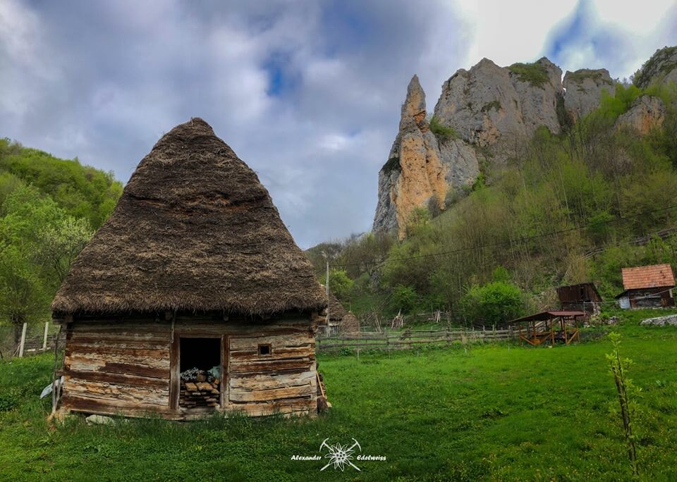  Coltul lui Balmos - Alexander Elderweiss