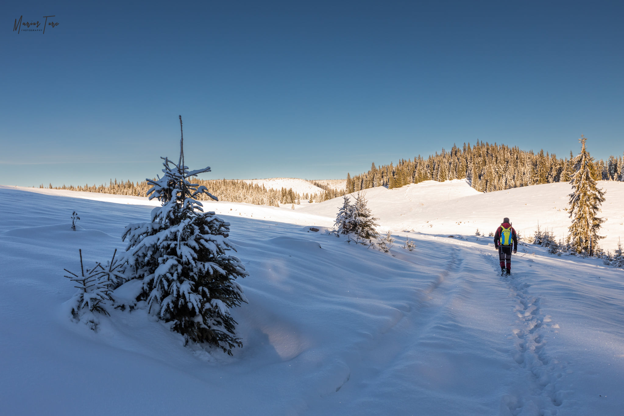  Continuam printre braduti - Marius Turc