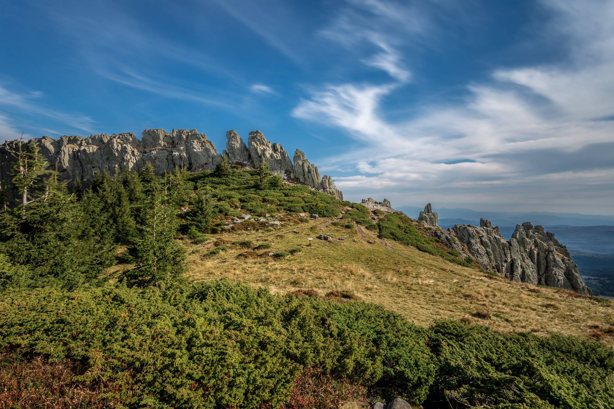  Creasta Cocosului - Florin Băraș