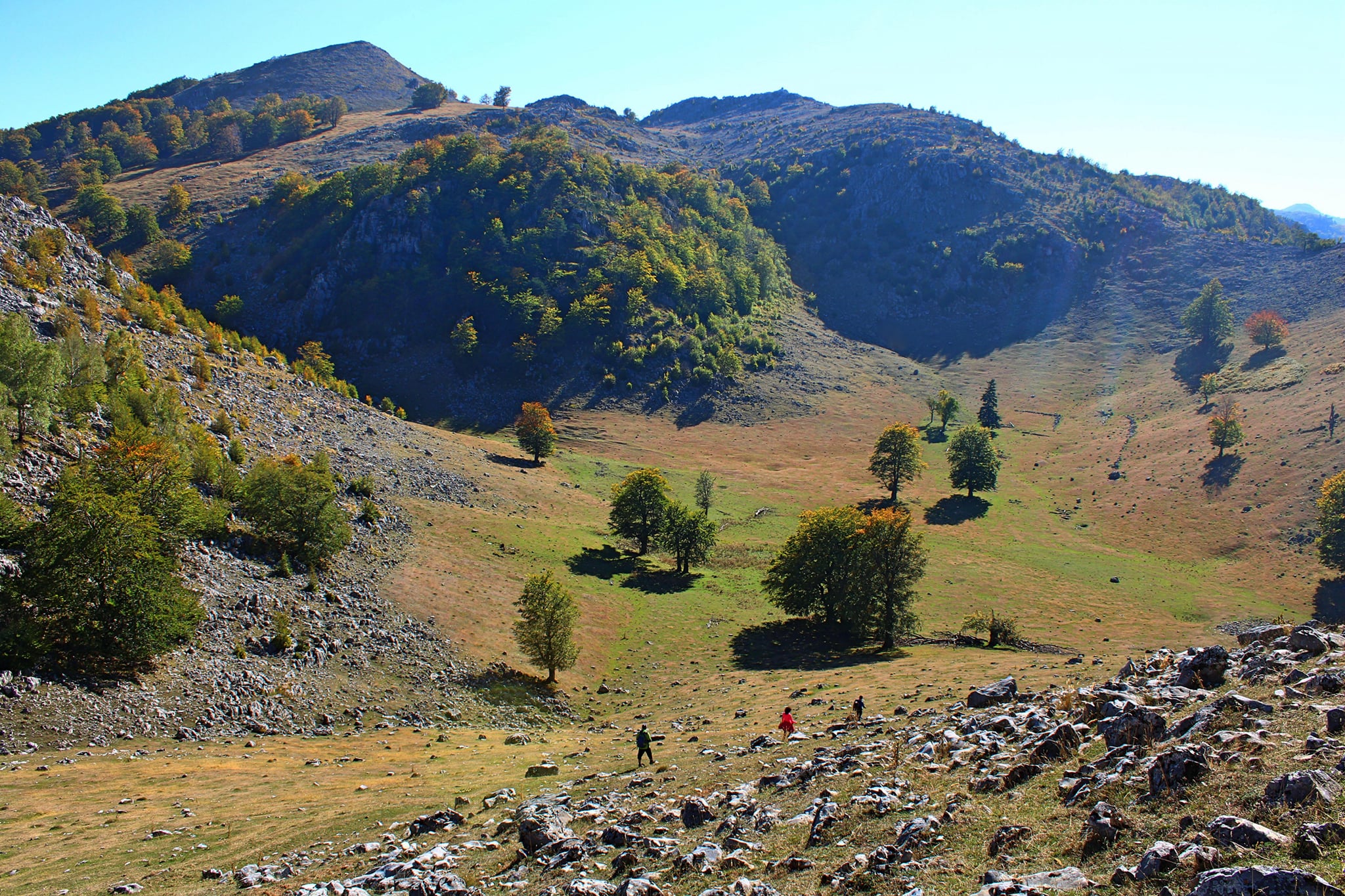  Crovul Mare din munţii Mehedinţi. - Sima Constantin