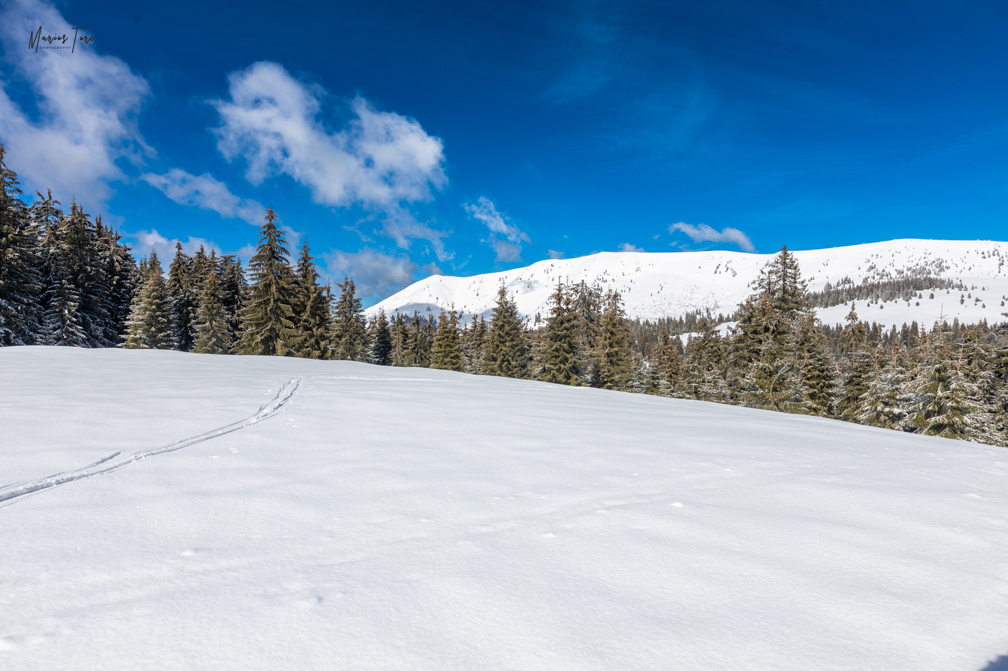  Culmea Cârligate - Cornu Munților, munții Bihor-Vlădeasa - Marius Turc