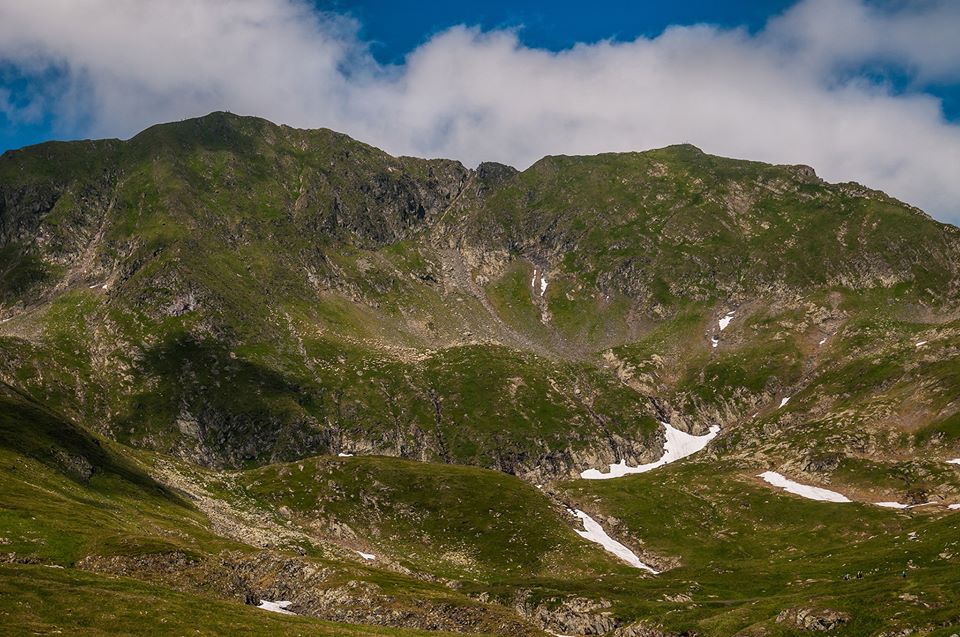  Culmea Moldoveanu - Vistea -  Morar Daniel