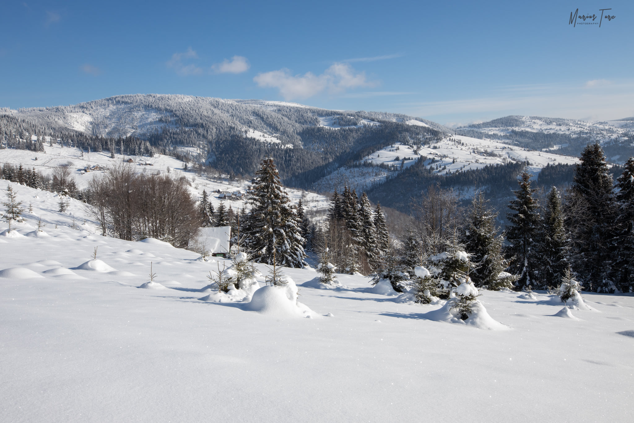  Culmile albite ne asteapta - Marius Turc