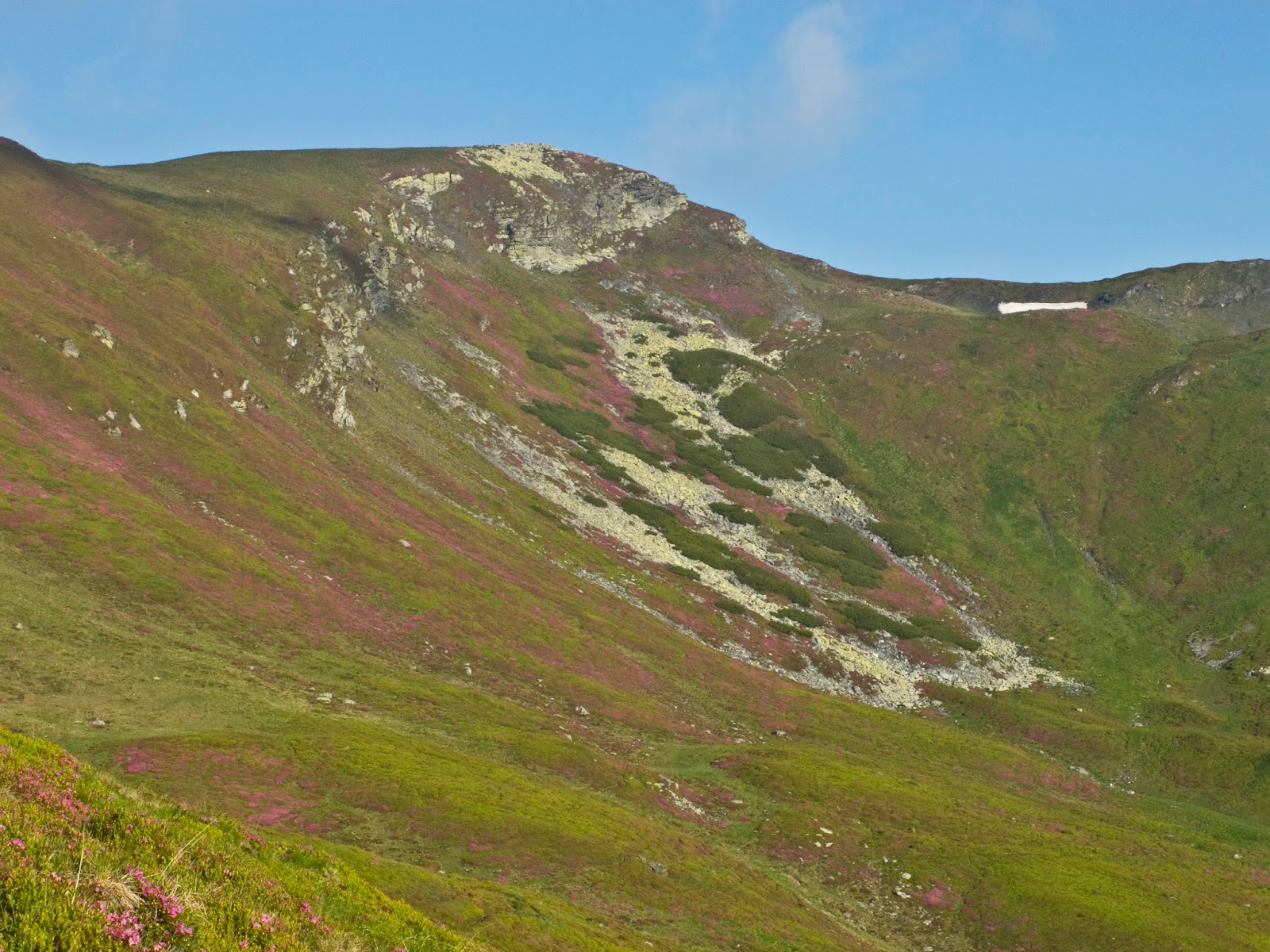  Curgere roz de pe vf. Cormaia - Alina Cîrja