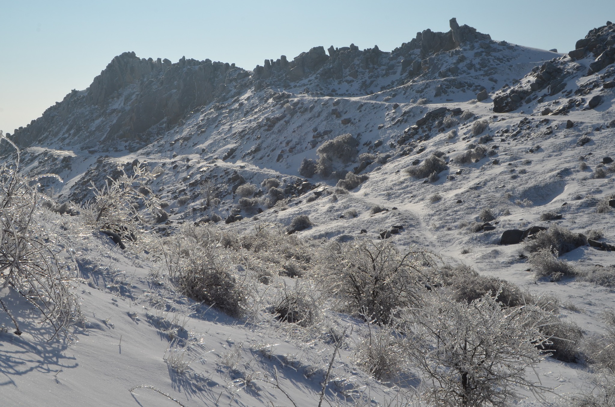  custură granitică din Culmea Pricopanului - Andrei Raftopol