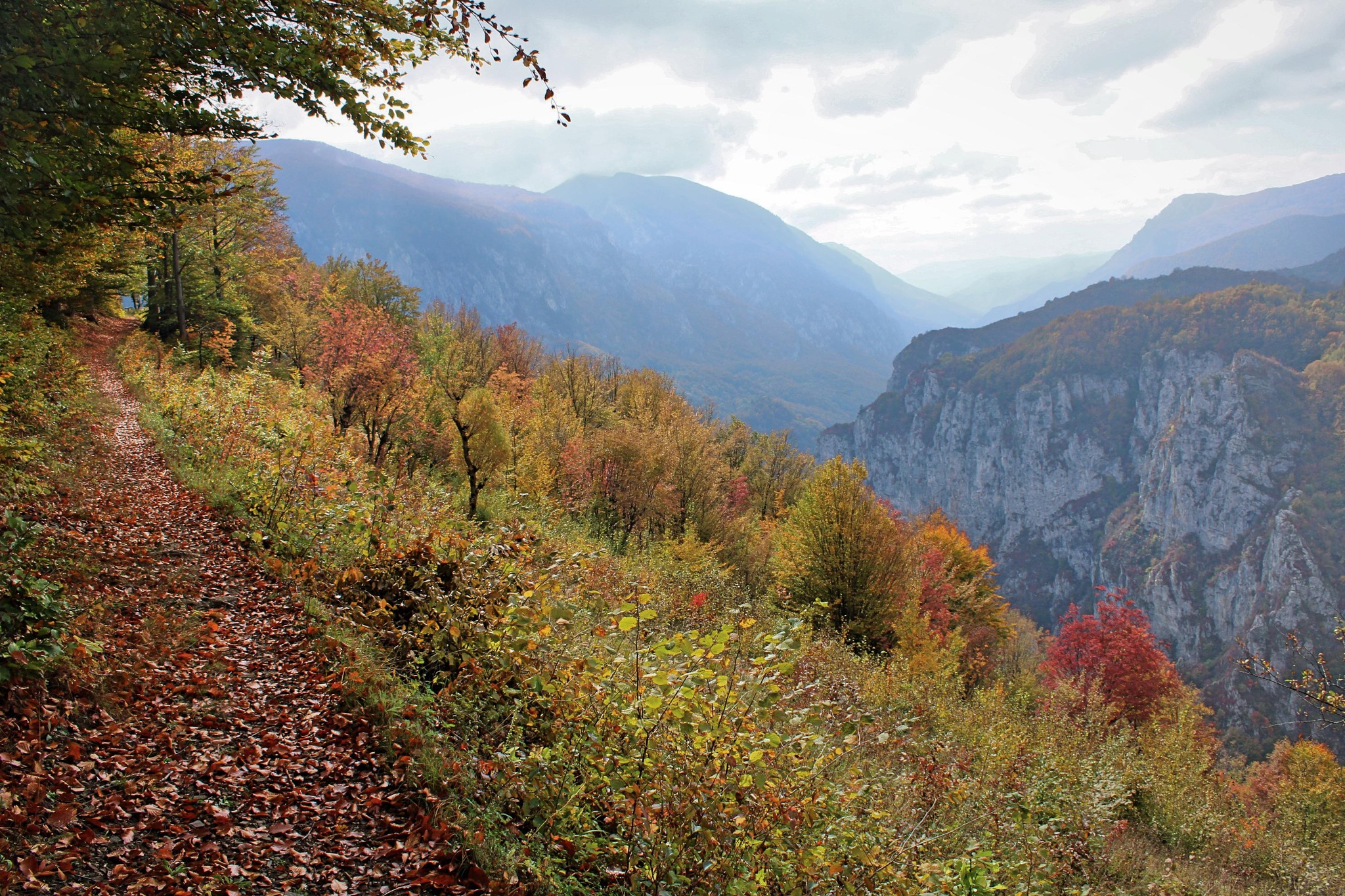  Deasupra de Cheile Prisăcinei - Sima Constantin