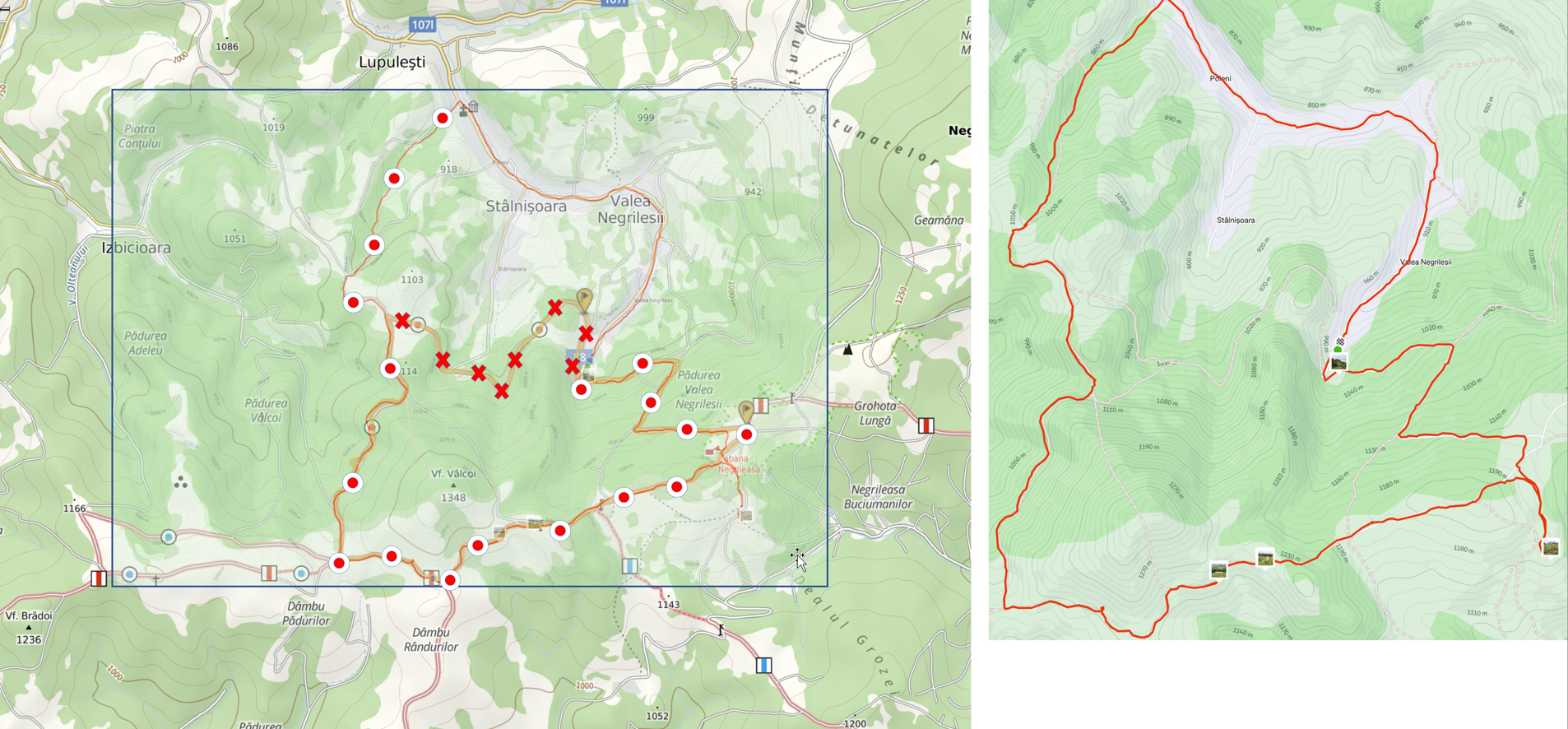  detalii traseu PR Valea Negrilesii - Poiana cu Narcise de la Negrileasa