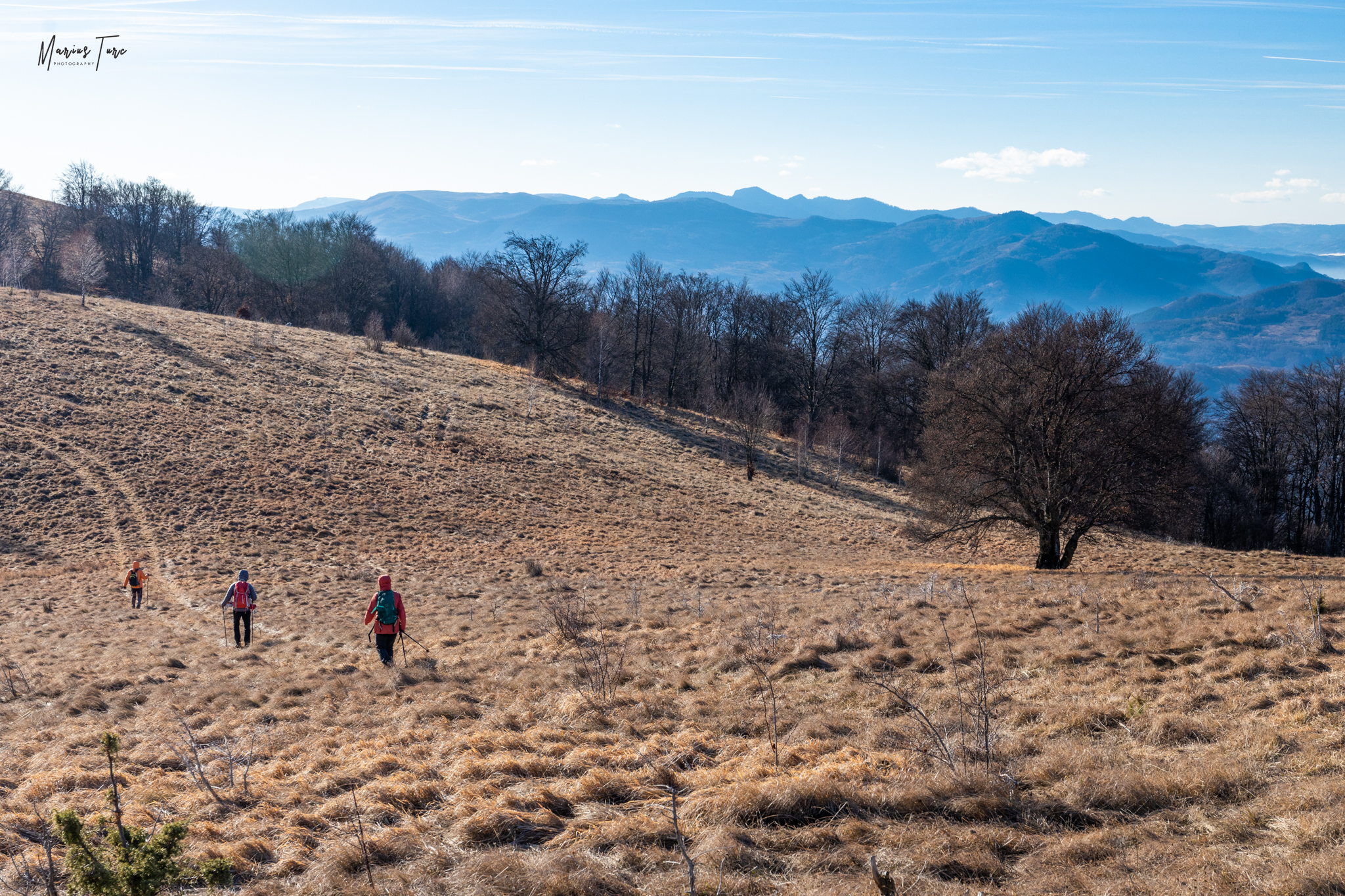  Doline între Ugerului și Piatra cu Urdă - Marius Turc