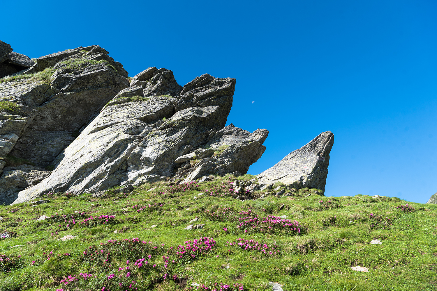 Munții Făgărașului