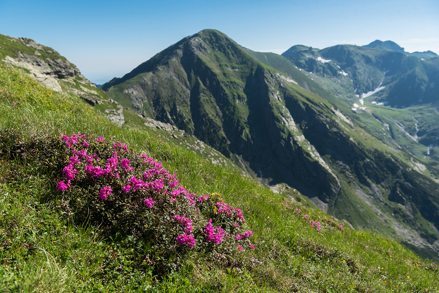 Munții Făgărașului
