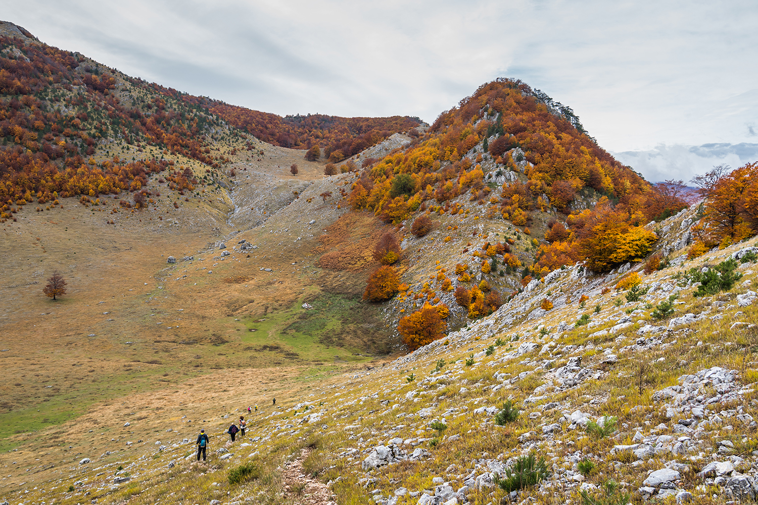 Parcul National Domogled-Valea Cernei