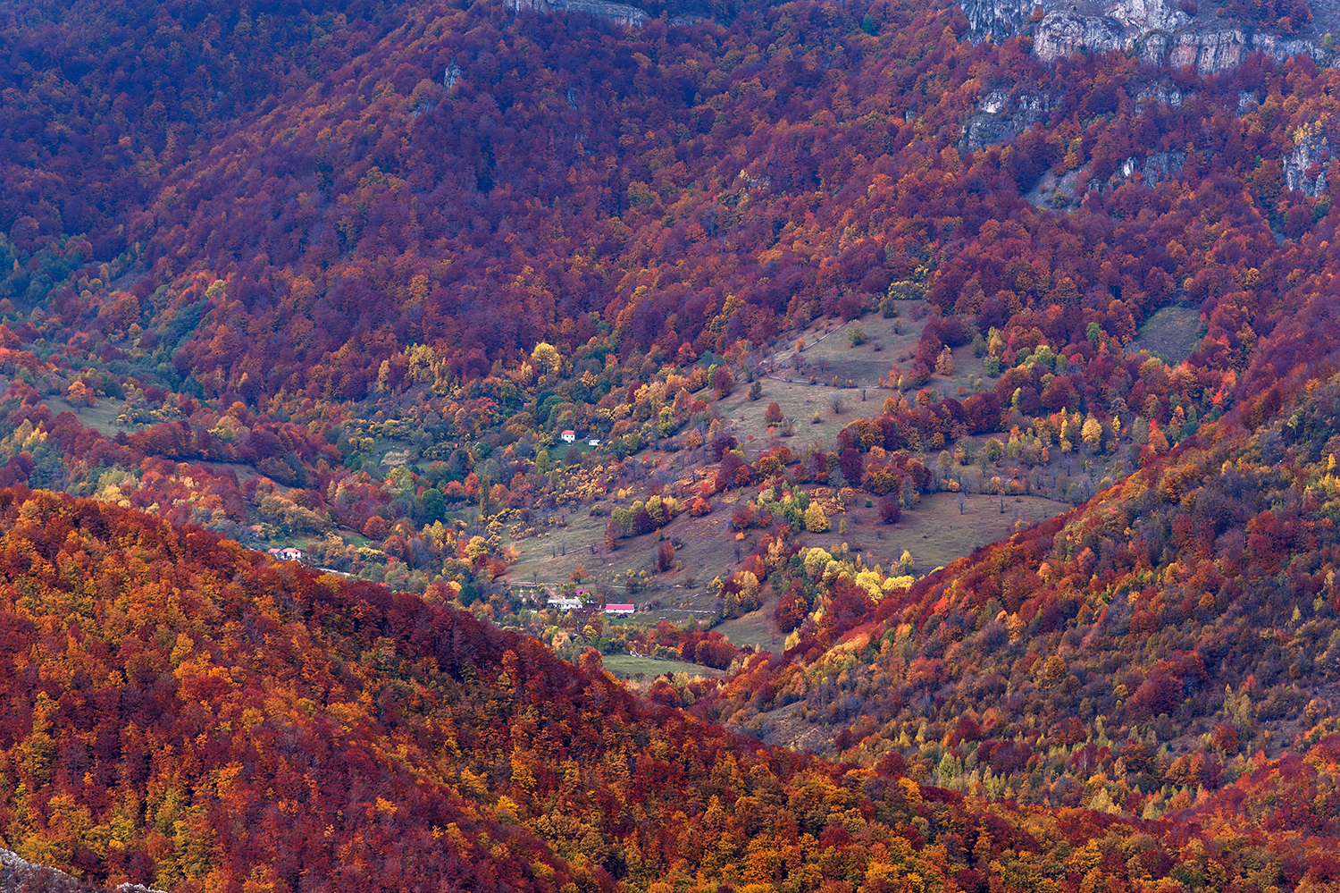 Parcul National Domogled-Valea Cernei