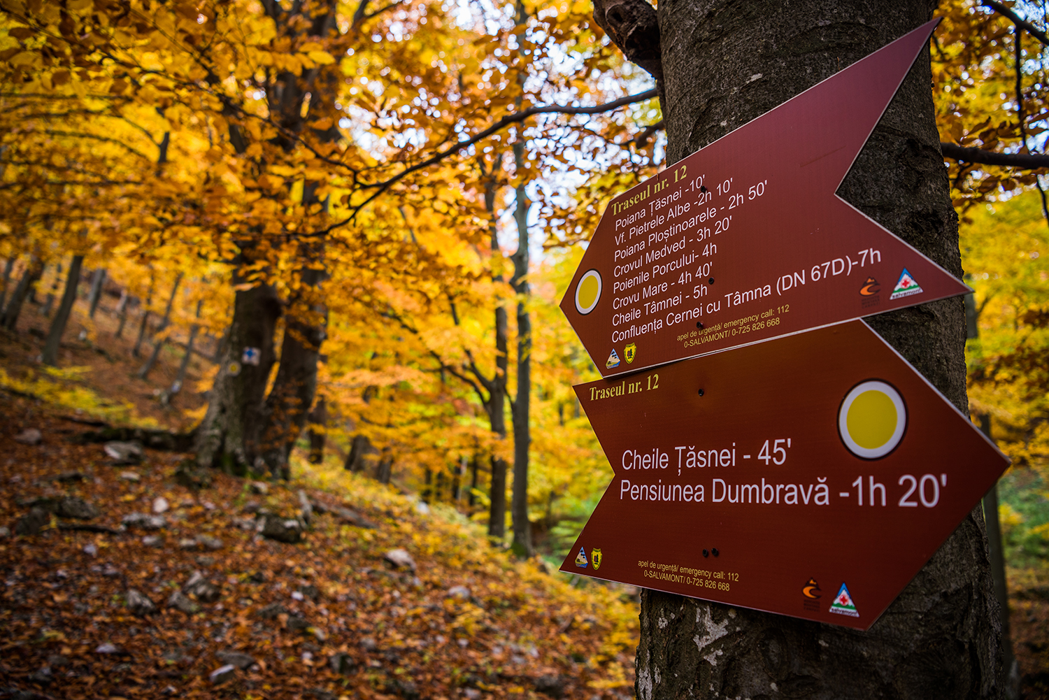 Parcul National Domogled-Valea Cernei