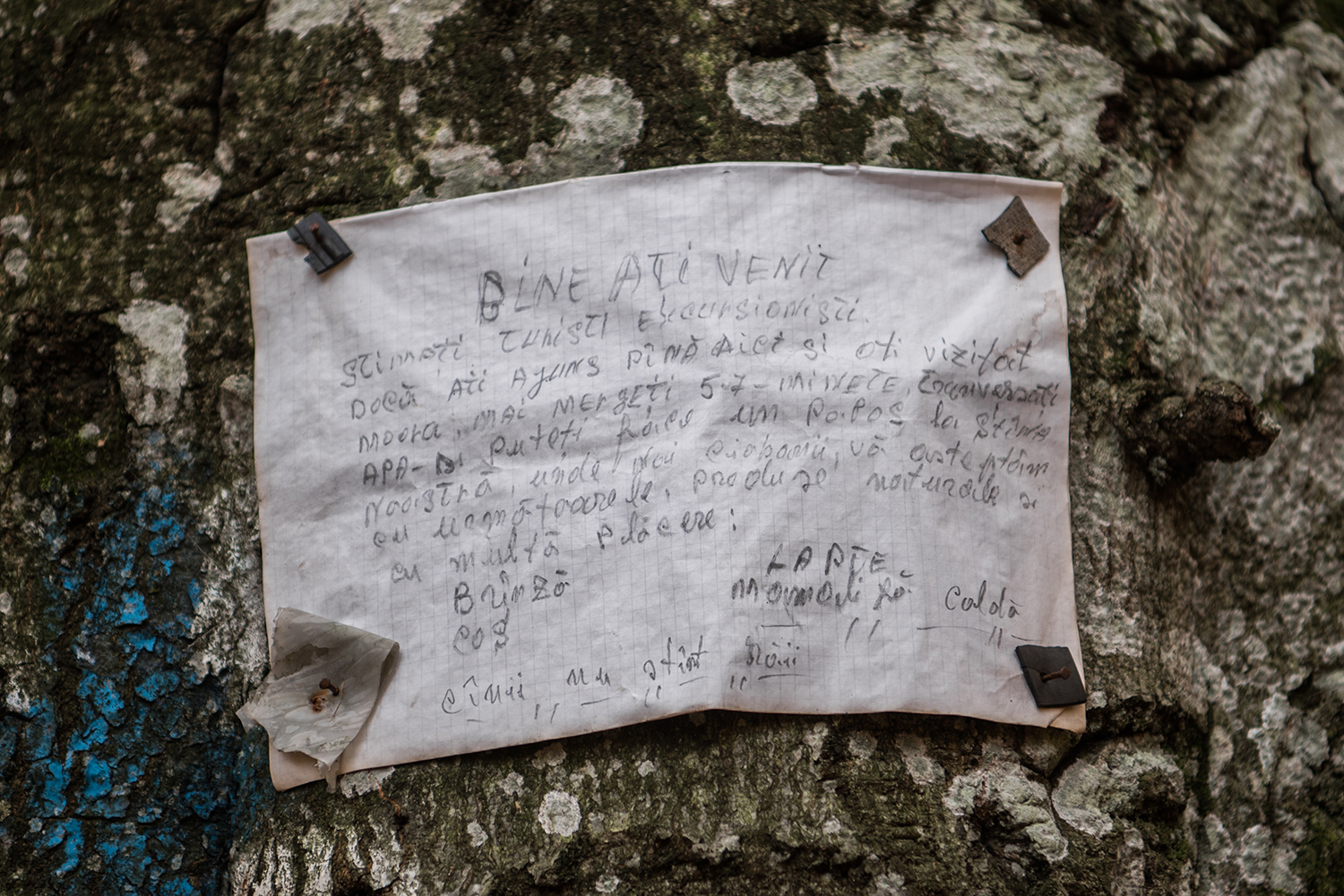 Parcul National Domogled-Valea Cernei