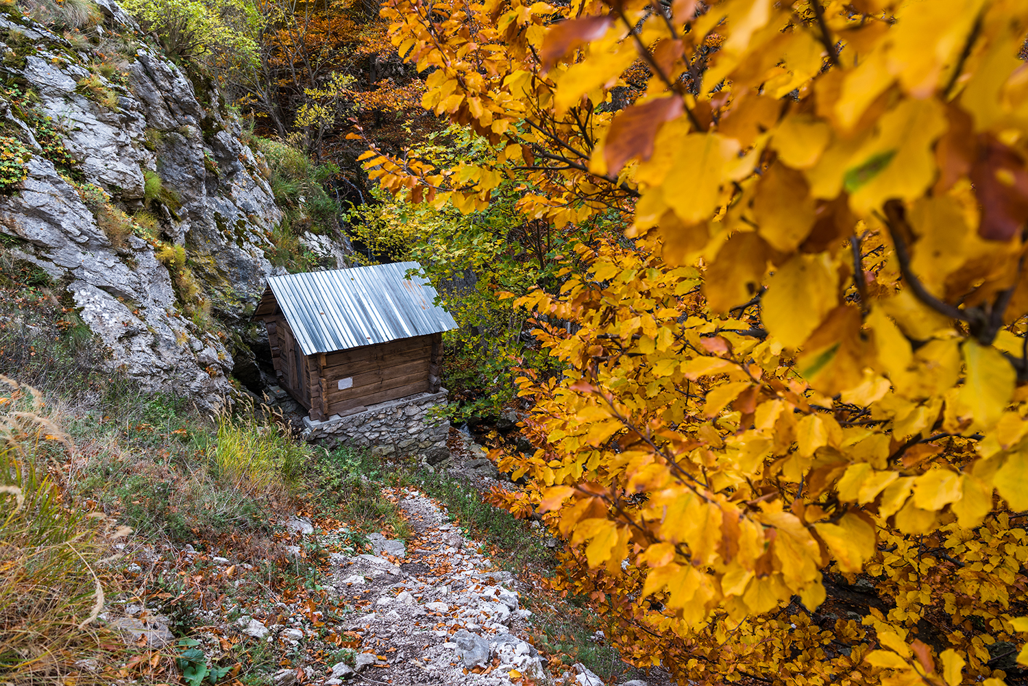 Parcul National Domogled-Valea Cernei