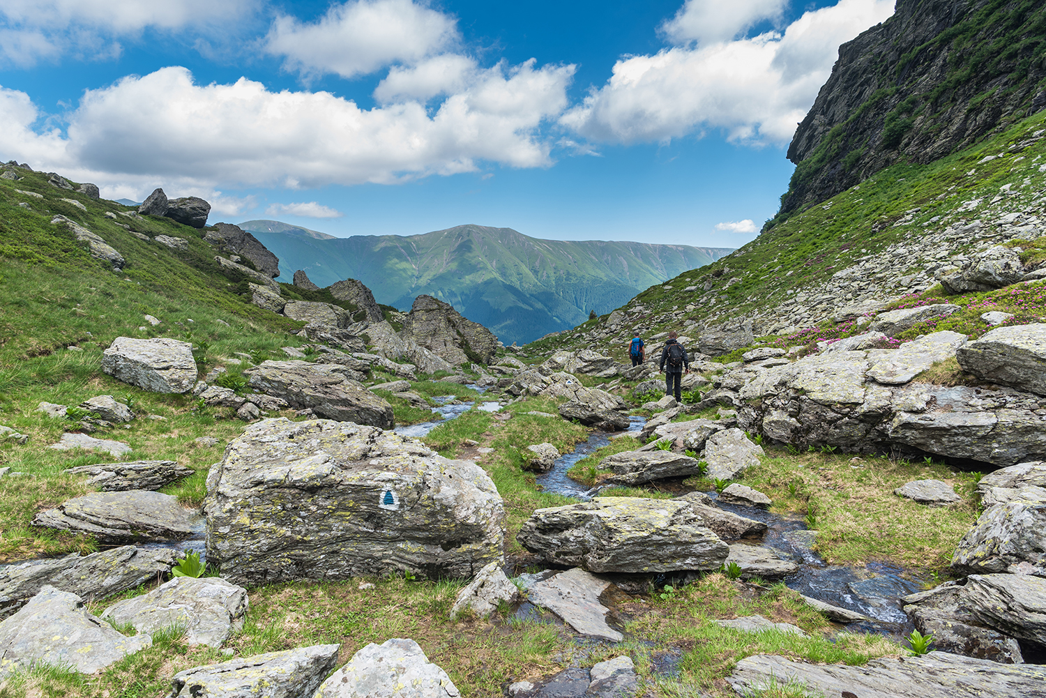 Munții Făgărașului