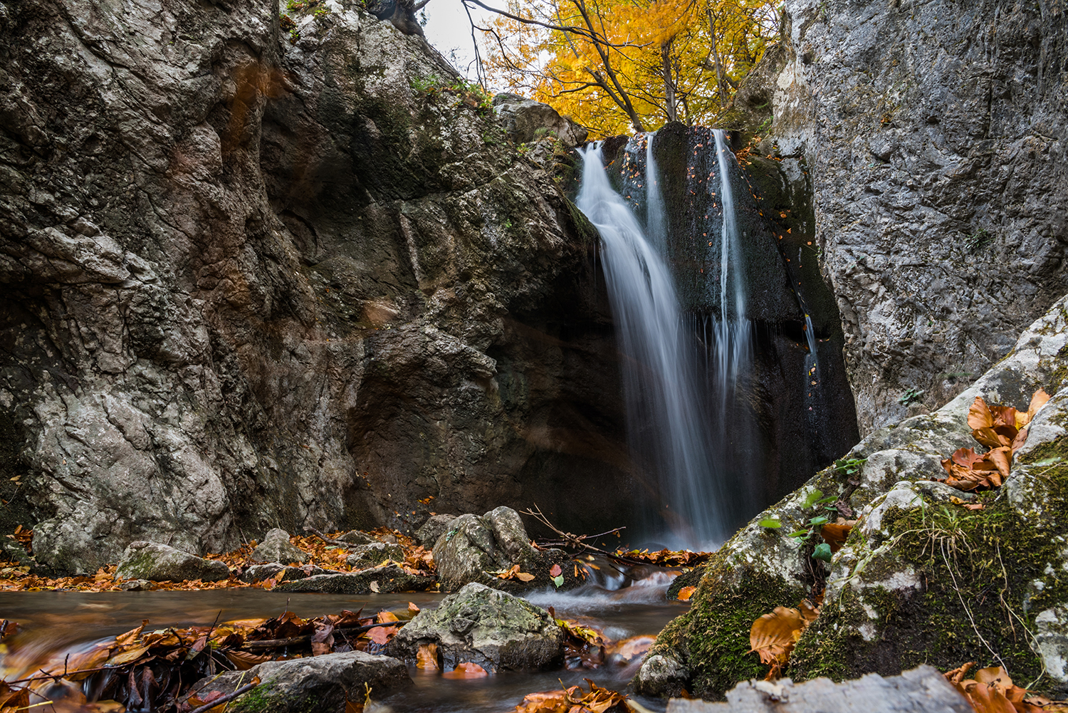 Parcul National Domogled-Valea Cernei