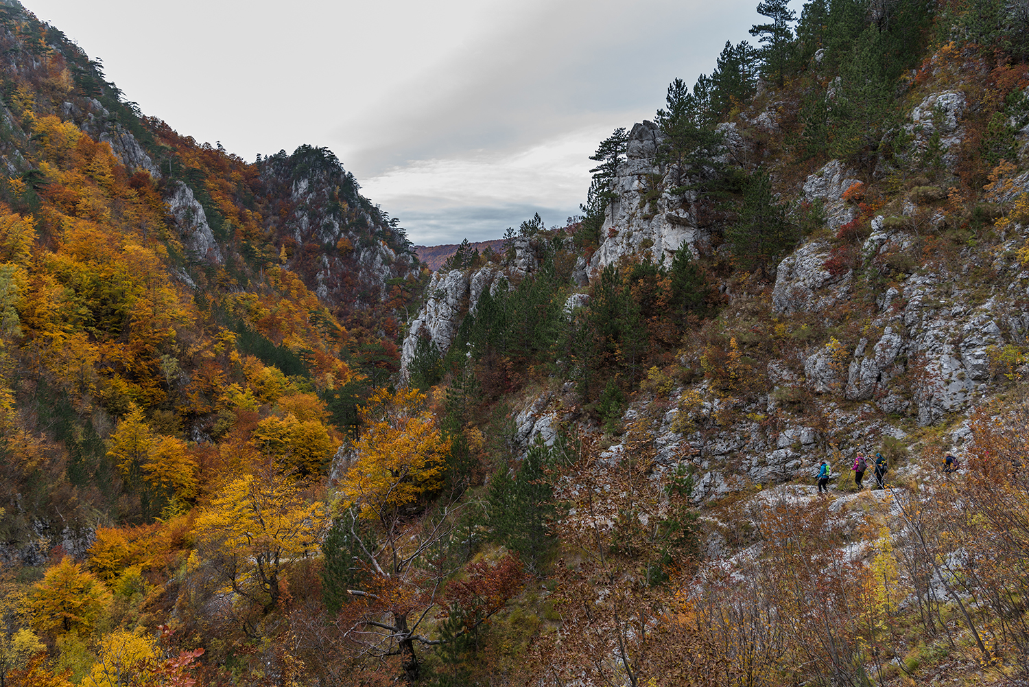 Parcul National Domogled-Valea Cernei