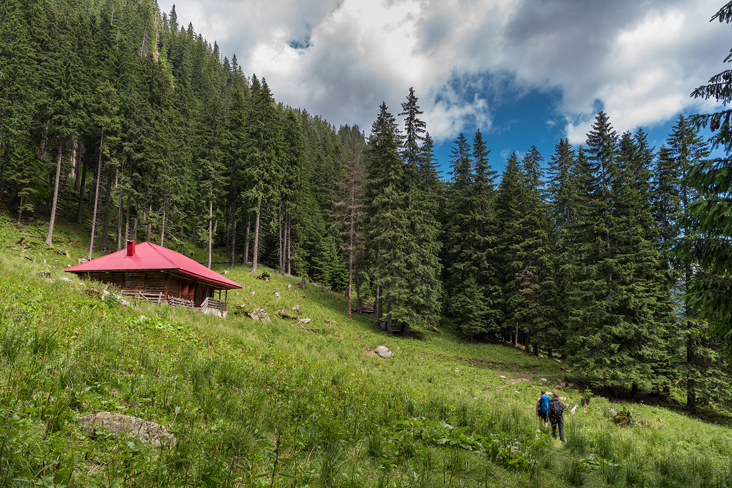 Munții Făgărașului