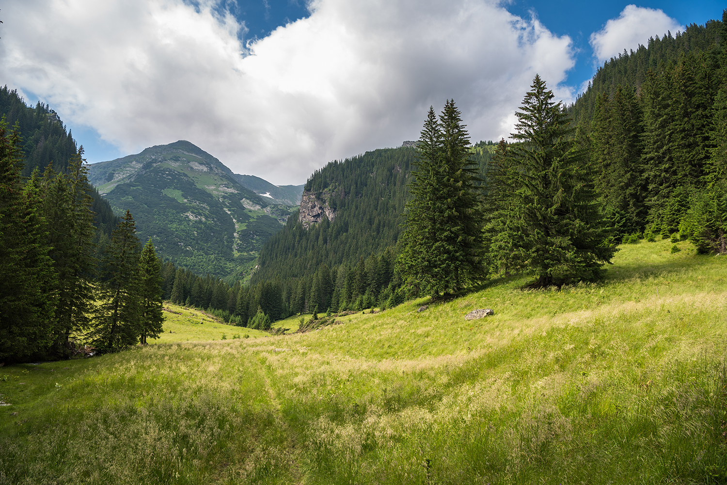 Munții Făgărașului