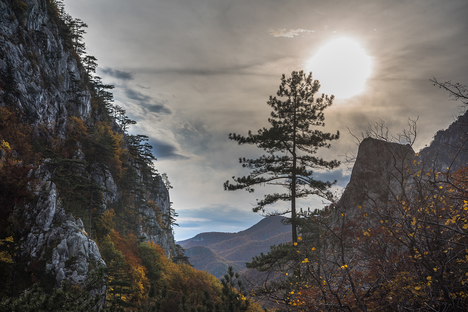 Parcul National Domogled-Valea Cernei