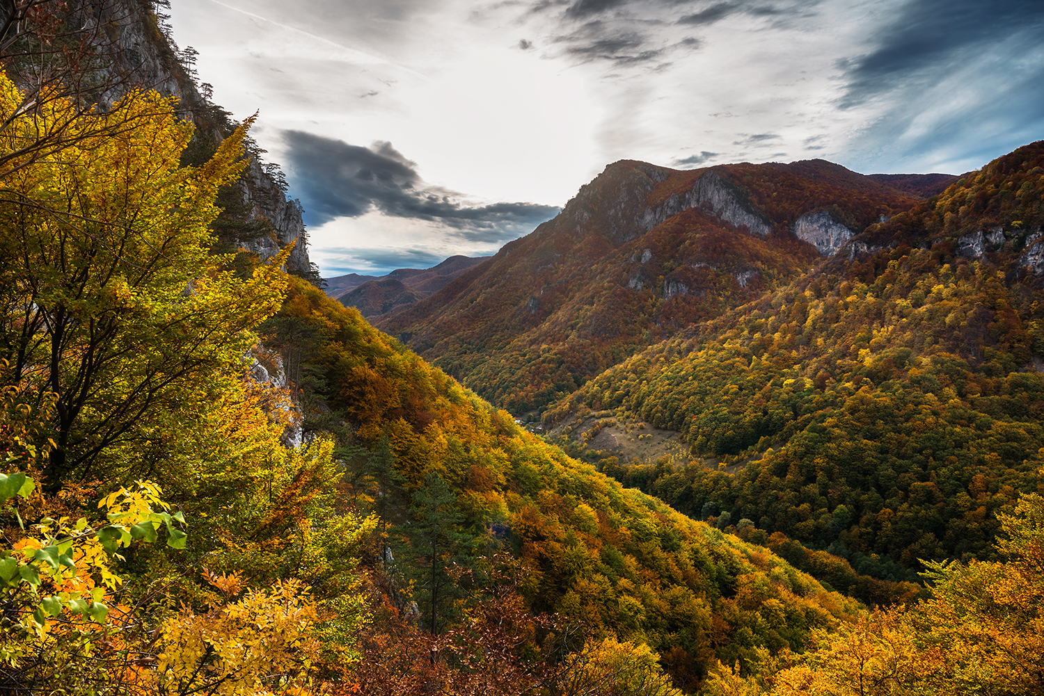 Parcul National Domogled-Valea Cernei