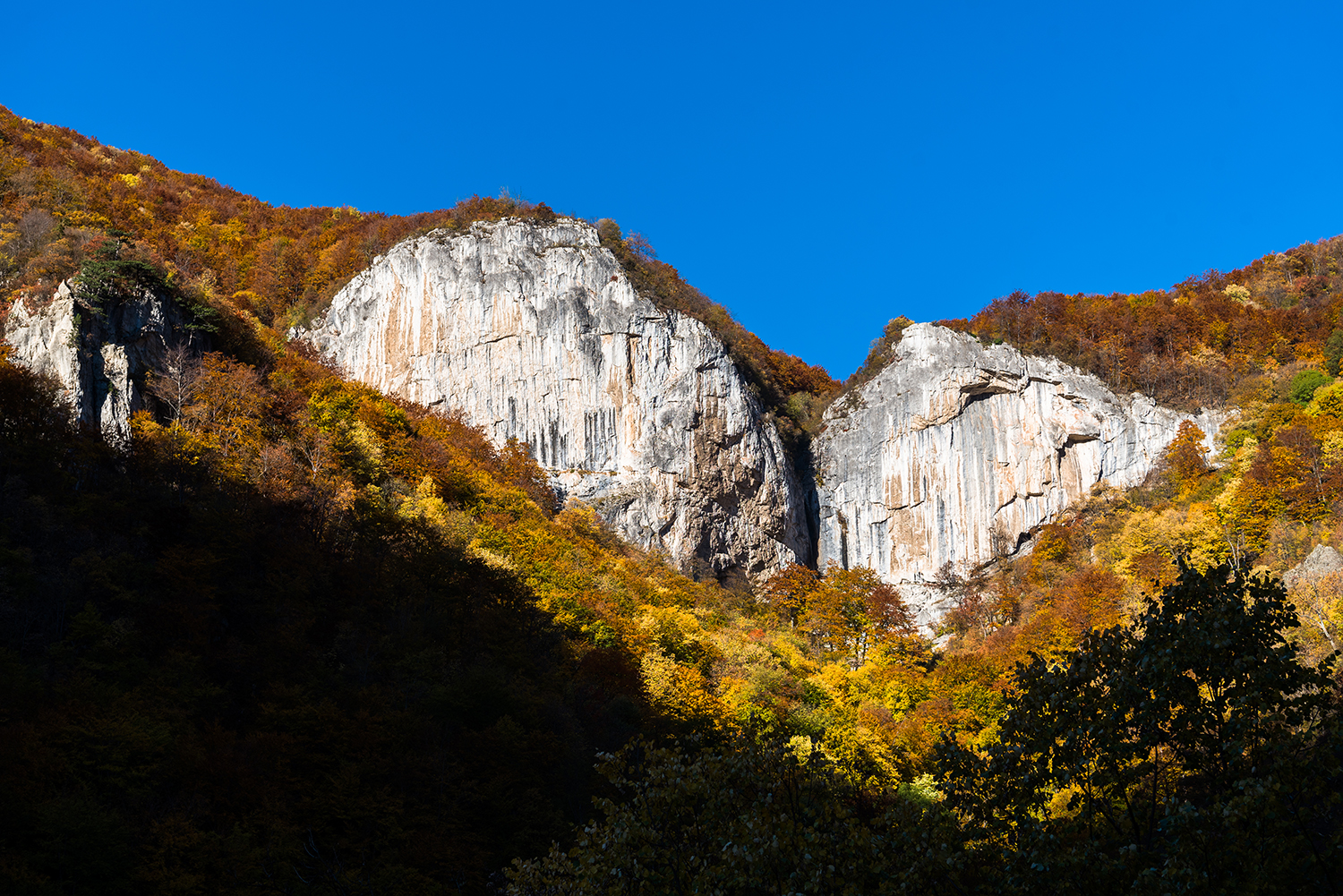 Parcul National Domogled-Valea Cernei