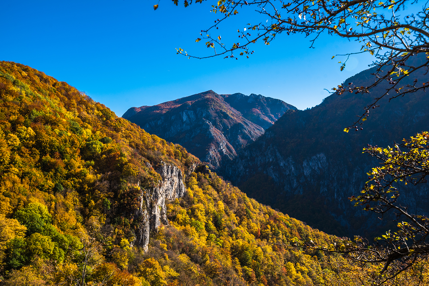 Parcul National Domogled-Valea Cernei