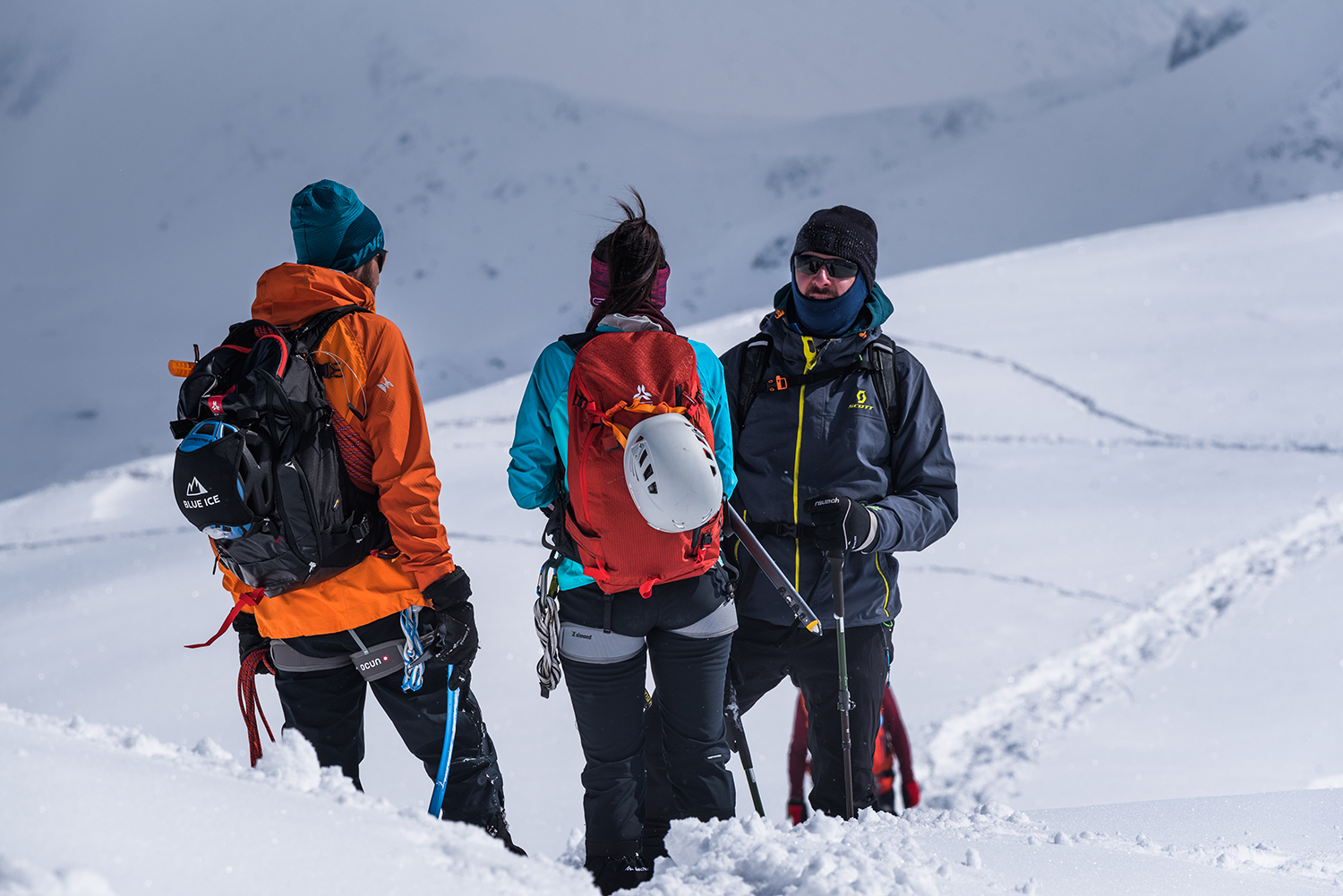 Carpații Meridionali