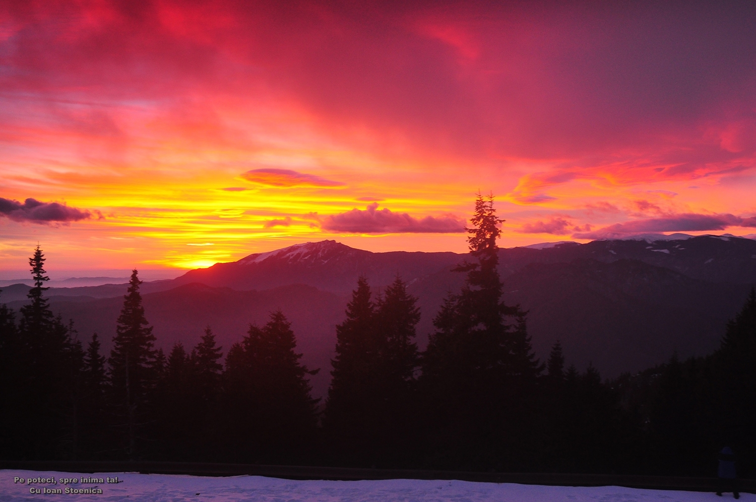  vedere spre buila la apus