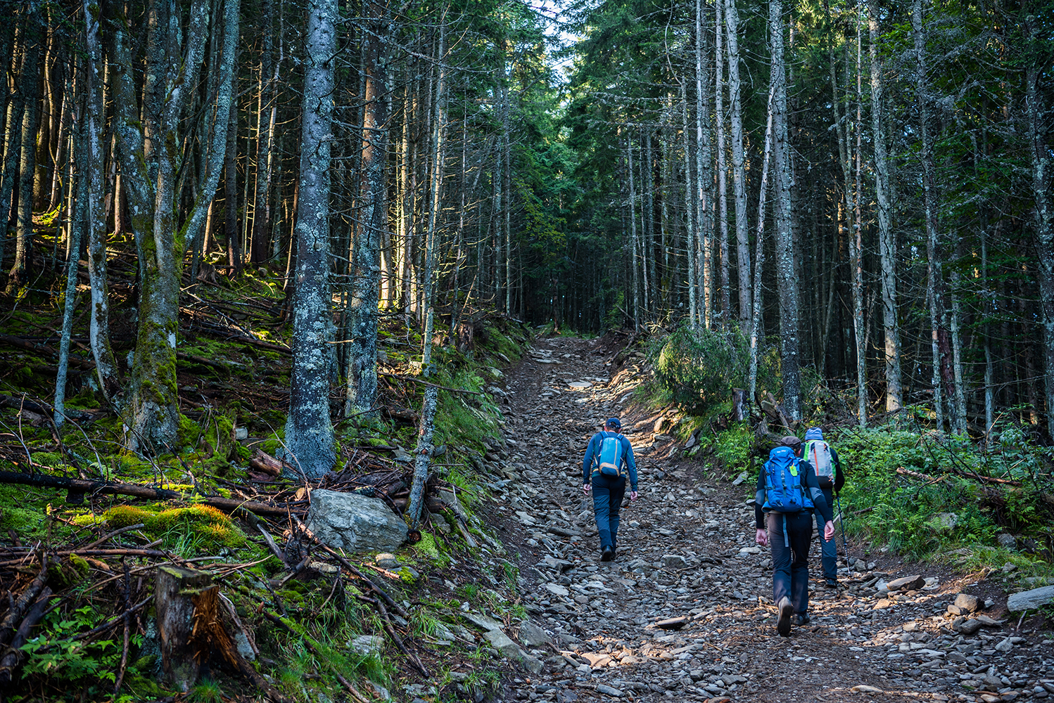 Munții Făgărașului