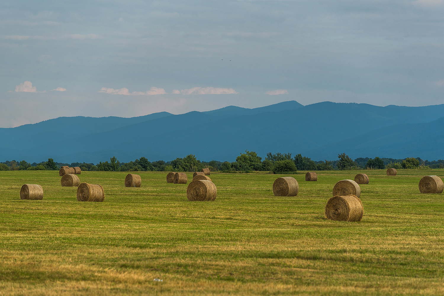 Munții Făgărașului