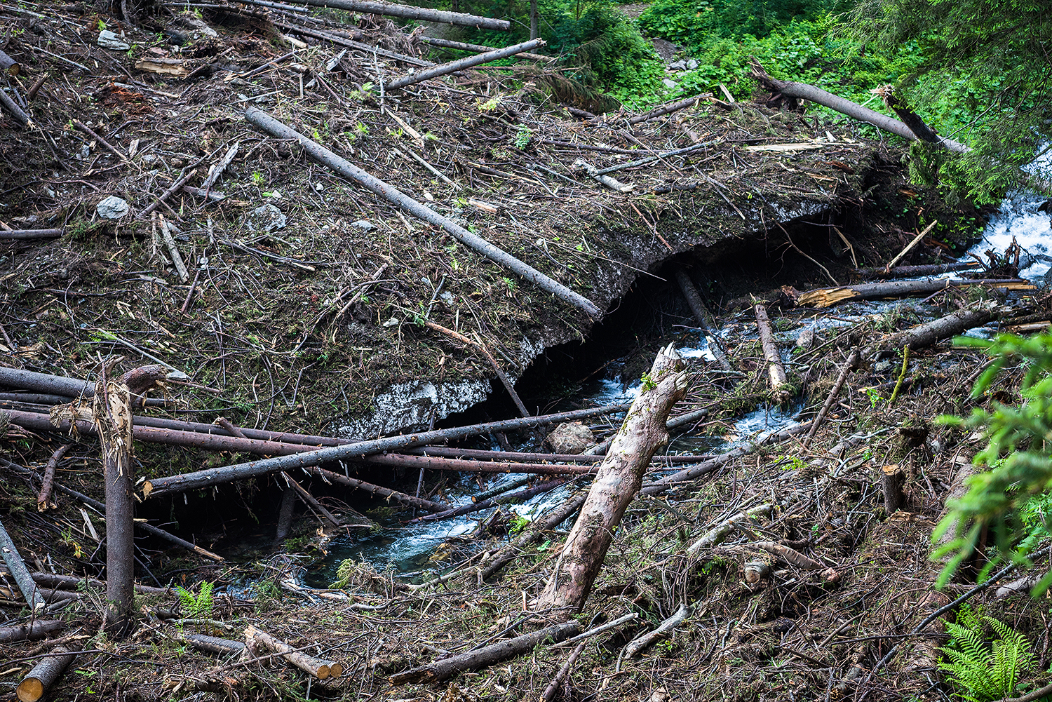 Munții Făgărașului