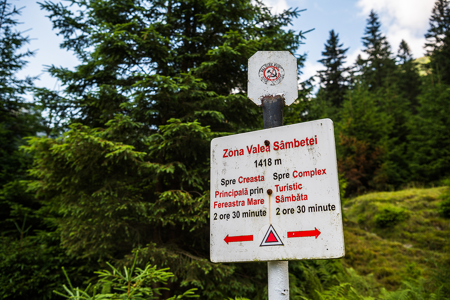 Munții Făgărașului