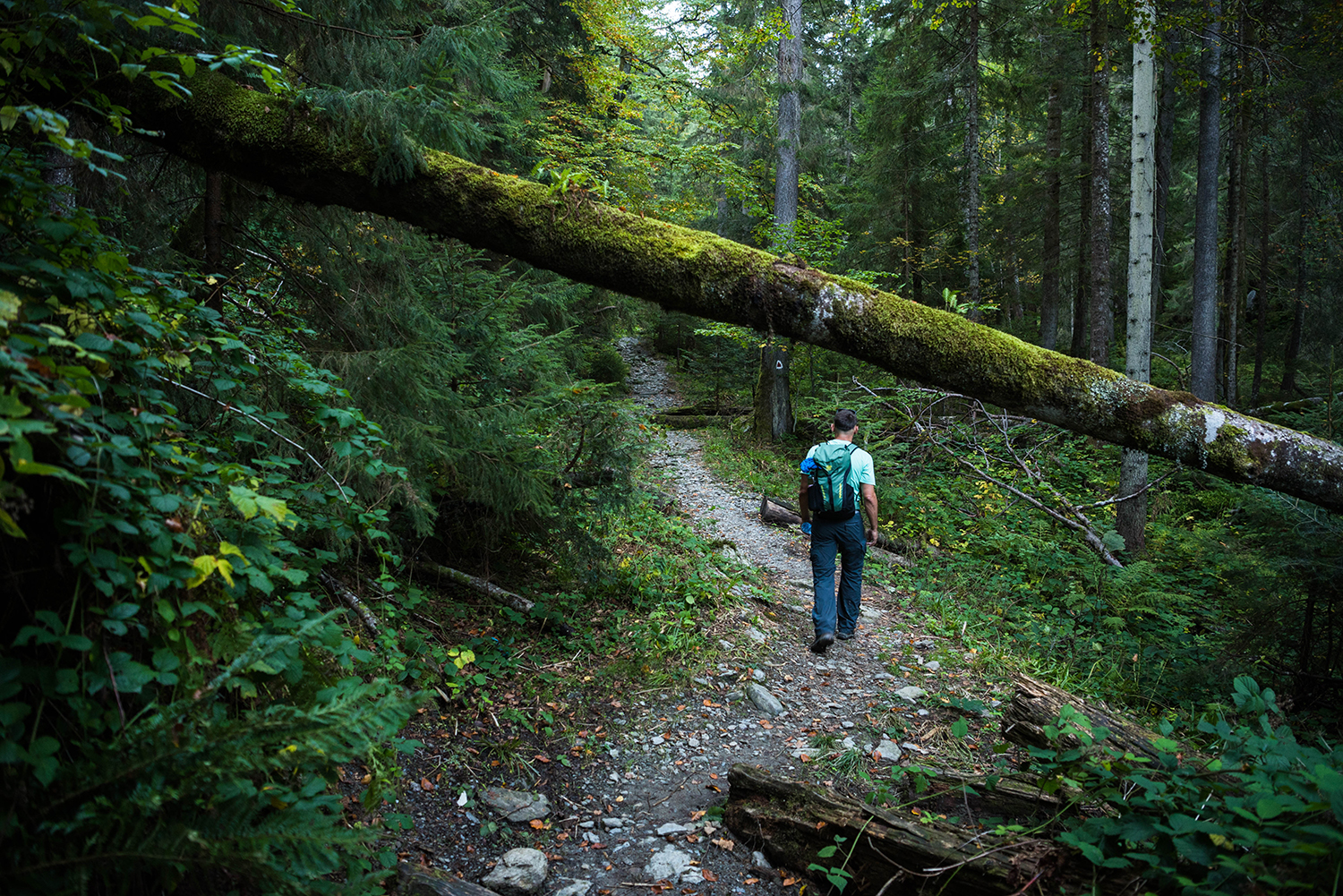  Munții Făgărașului