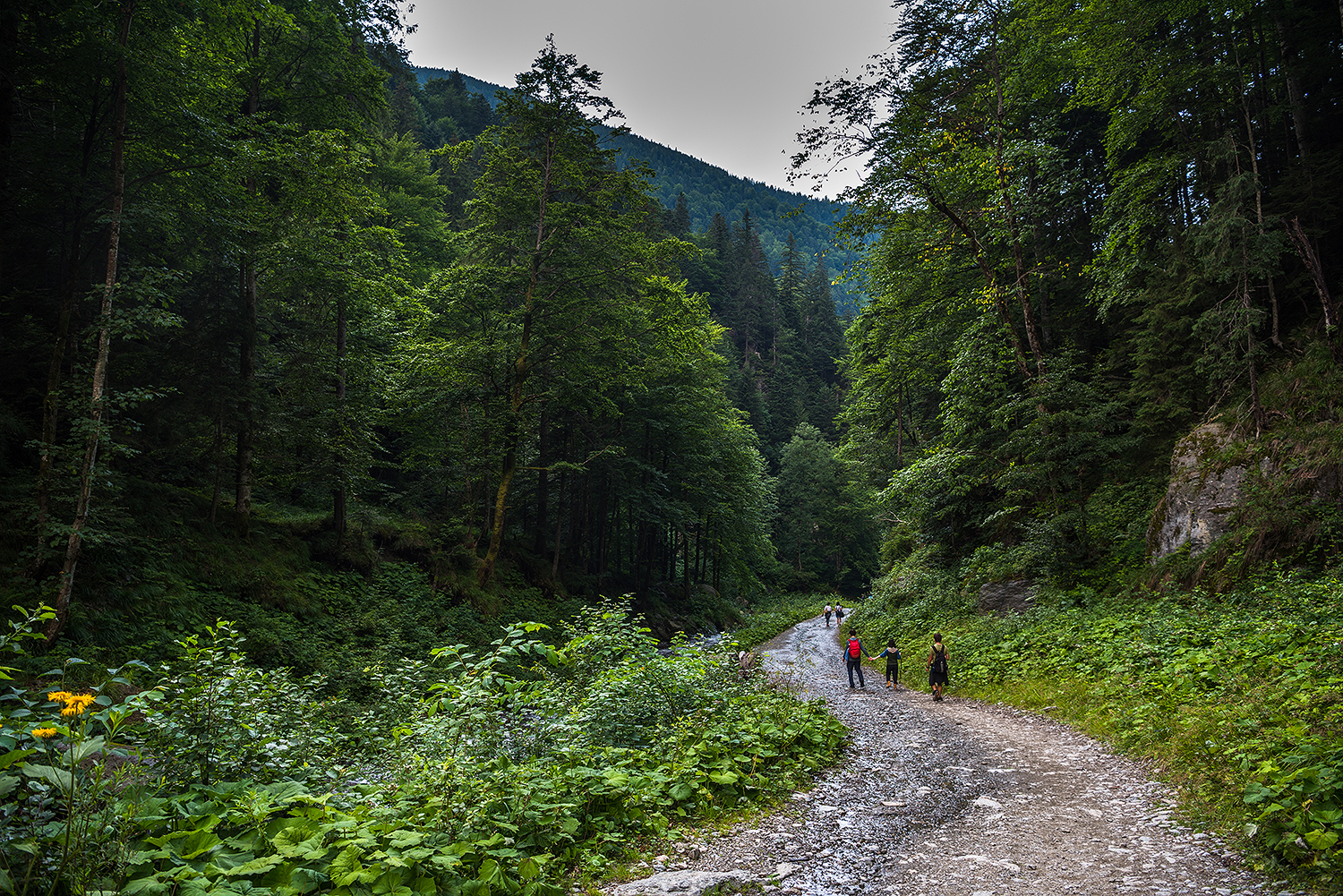 Munții Făgărașului