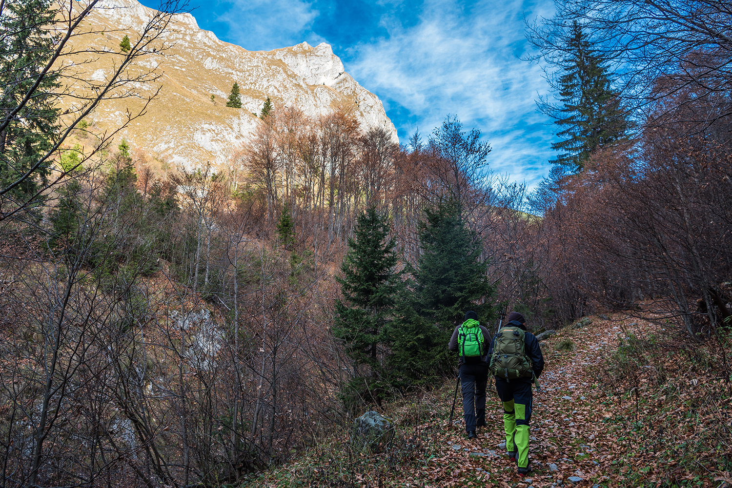 Munții Piule-Iorgovanu