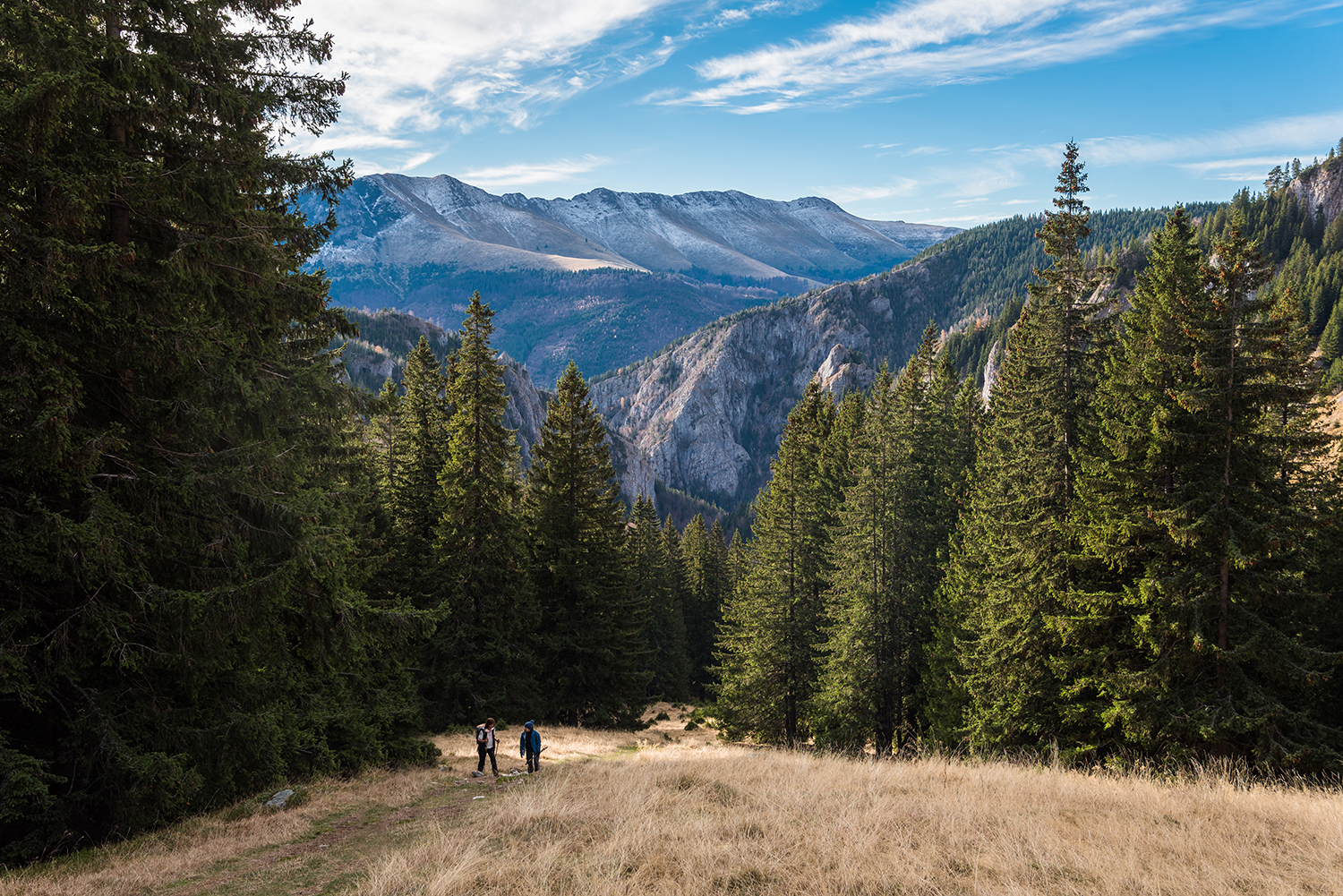 Munții Piule-Iorgovanu
