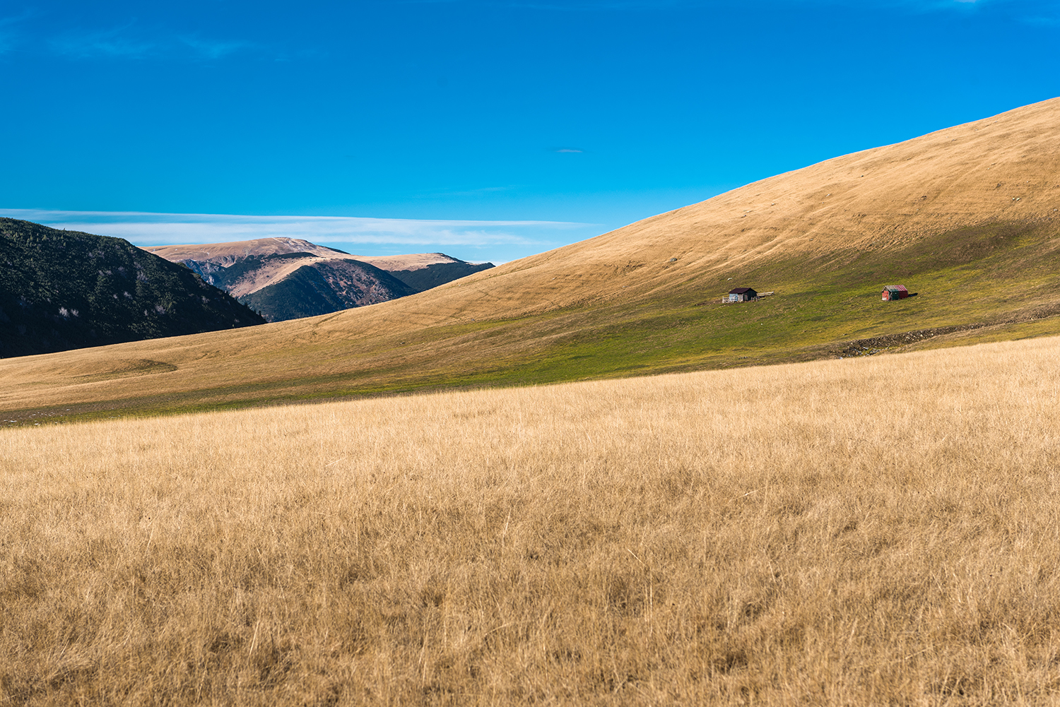 Munții Piule-Iorgovanu