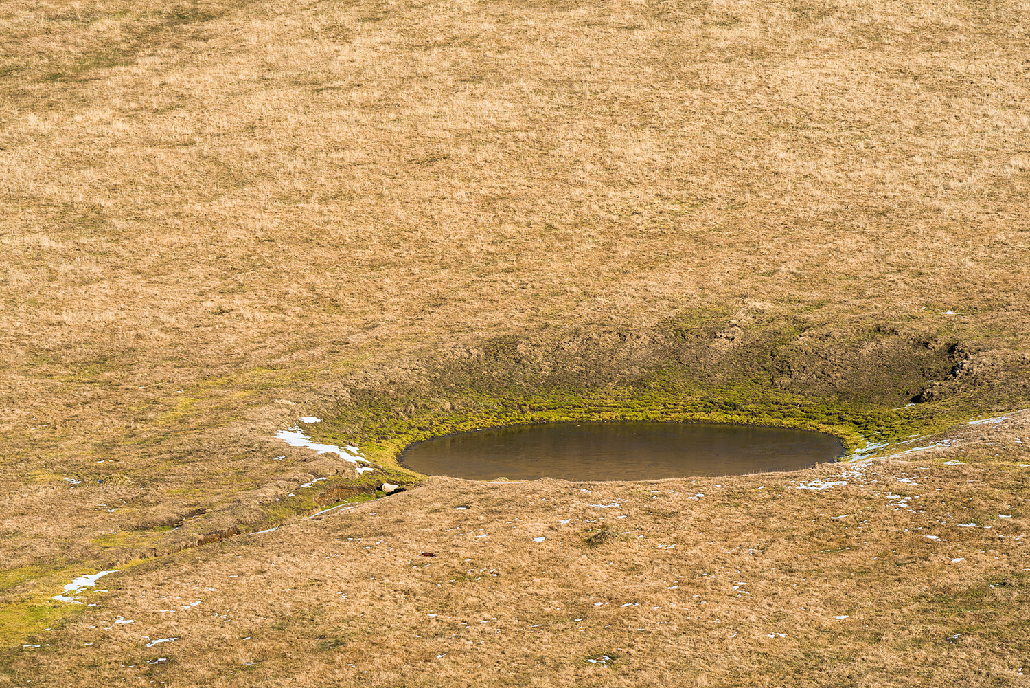 Munții Piule-Iorgovanu