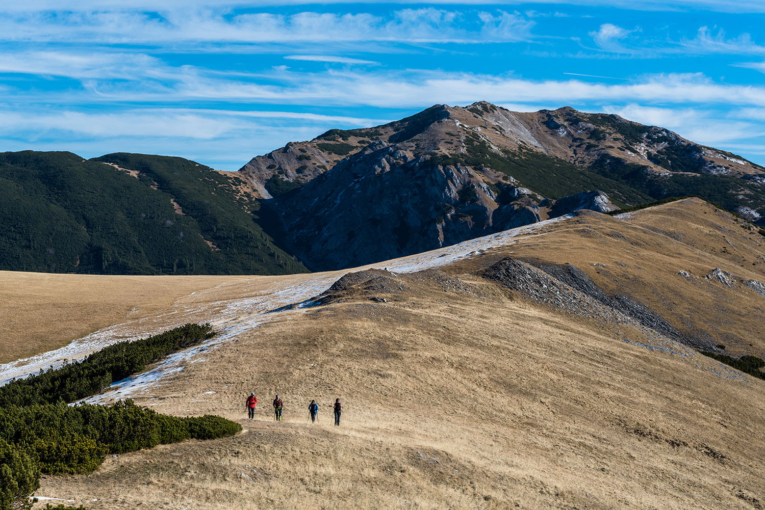 Munții Piule-Iorgovanu