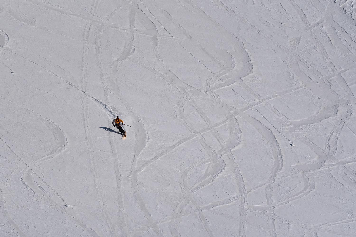 Munții Făgărașului