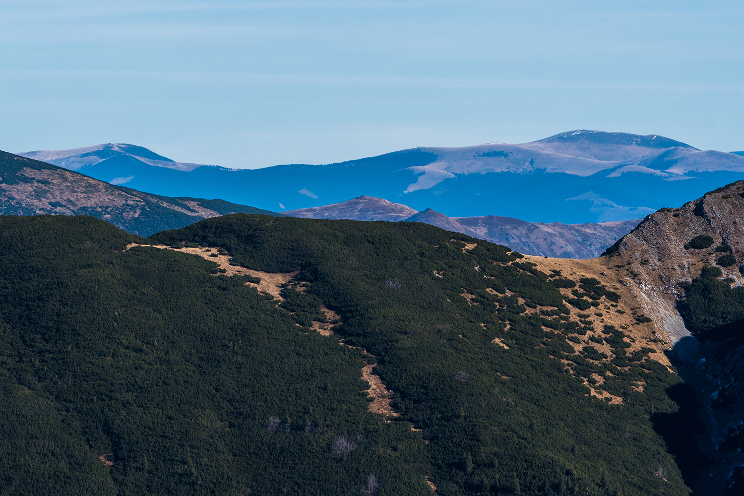 Munții Piule-Iorgovanu