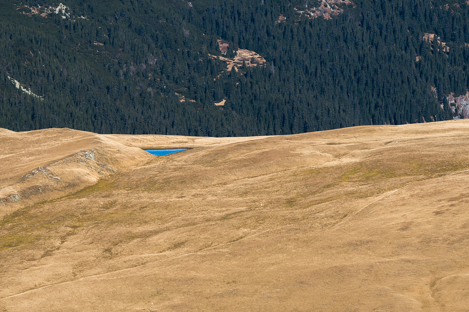 Munții Piule-Iorgovanu