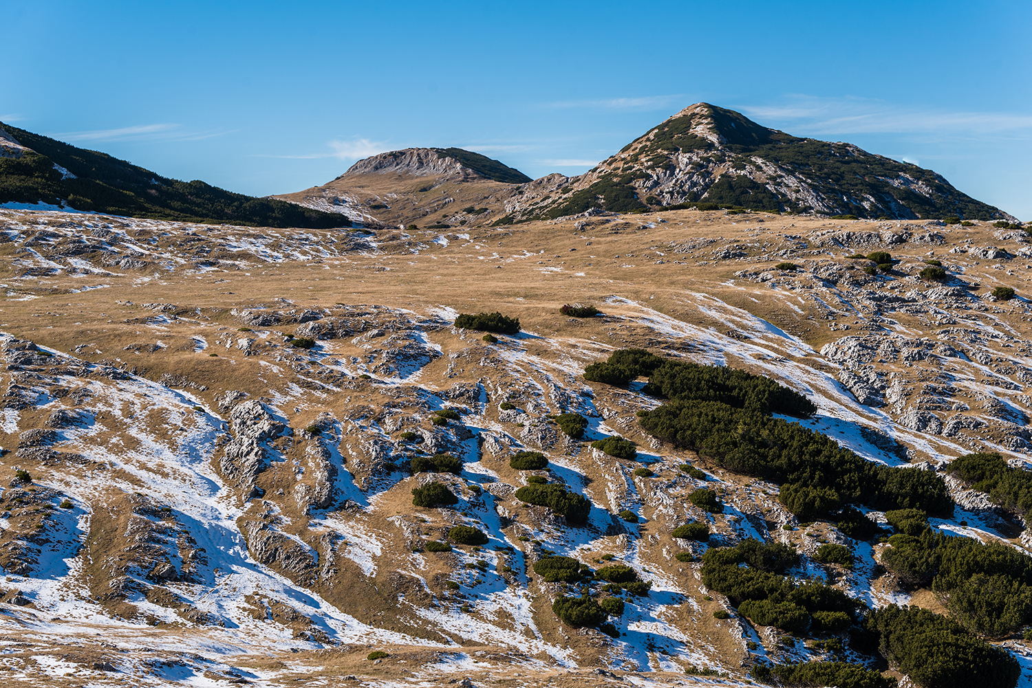 Munții Piule-Iorgovanu